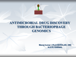 antimicrobial drug discovery through bacteriophage genomics