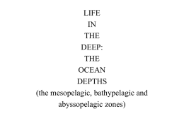 Deep Sea, lecture 7
