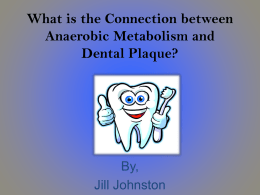 The Connection between Anaerobic Metabolism and Dental Plaque