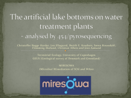 The artificial lake bottoms on water treatment plants