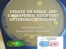 Update on Carbapenem Resistant Enterobacteriaceae