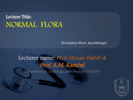 4 NORMAL FLORA-updated