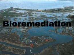 Chapter 9: Bioremediation - Kennesaw State University College of