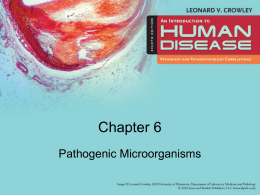 Pathogenic_Microorgansims_6