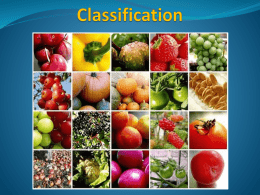 Chapter 18 - Classification