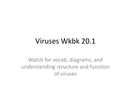 20.1 viruses wkbk key - OG