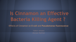 Is Cinnamon an Effective Bacteria Killing Agent ?
