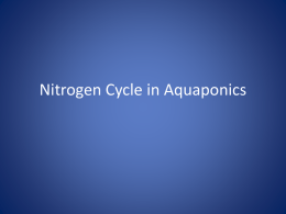Nitrogen Cycle in Aquaponics