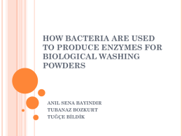 how bacteria are used to produce enzymes for
