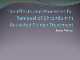 The Effects and Processes for Removal of Chromium in Activated