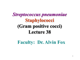 Streptococcus pneumoniae and Staphylococci