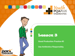 Lesson 3 - pp File