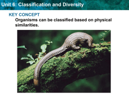 Unit 6: Classification and Diversity