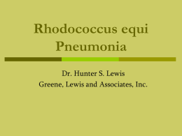 Rhodococcus equi Pneumonia - Greene, Lewis & Associates
