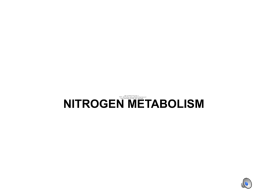 nitrogen metabolism