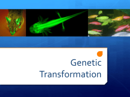 Genetic Transformation - University of California, Irvine