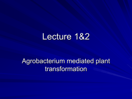 Methods of profucing transgenic plants