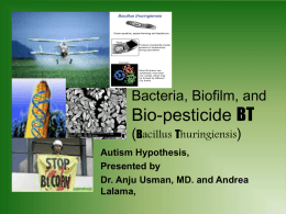 Bio-pesticide BT (Bacillus Turengensis)