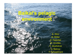 Baikal’s pelagic environment