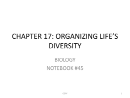 CHAPTER 17: ORGANIZING LIFE’S DIVERSITY