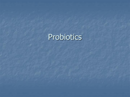Probiotics - jefechi.com