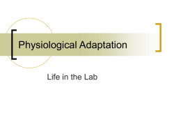 Physiological Adaptation - University of California, Irvine