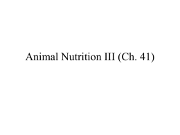 Lecture 5: Animal Nutrition II