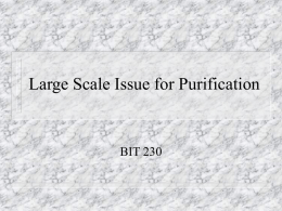 Large Scale Issue for Purification