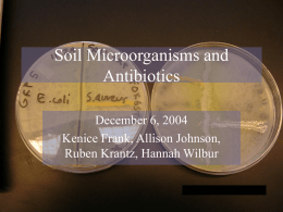 Organisms in Soil and Antibiotics