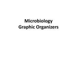 Microbiology Graphic Organizers