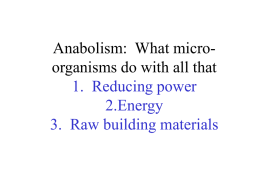 Anabolism: What micro-organisms do with all that 1