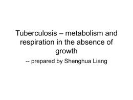 Tuberculosis – metabolism and respiration in the absence