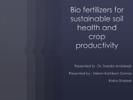 Bio fertilizers for sustainable soil health and crop