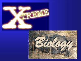 Extreme Biology - We don't just talk. We deliver