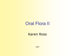 Oral Flora II - Twin Cities
