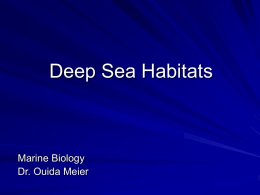Deep Sea Habitats