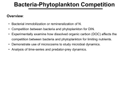 Bacteria-Phytoplankton Competition