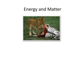 Energy and Matter