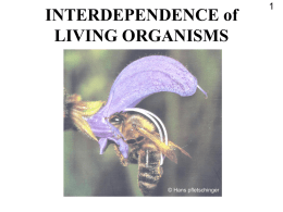 INTERDEPENDENCE of LIVING ORGANISMS