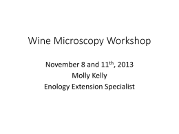 Wine Microscopy Workshop
