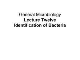 General Microbiology Lecture Twelve Identification of Bacteria