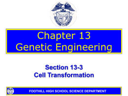 13-3 Cell Transformation - Pleasanton Unified School District