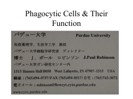 Lecture 1 - Purdue University