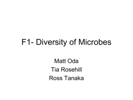 F1 & F2- Microbes