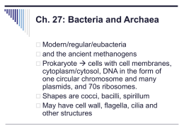 Ch. 27: Bacteria and Archaea
