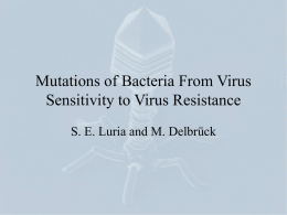 Mutations of Bacteria From Virus Sensitivity to Virus