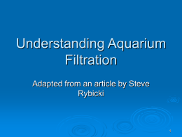 Understanding Aquarium Filtration