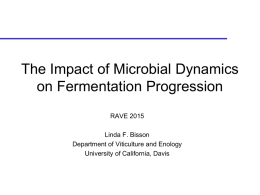 Overview of problem fermentations