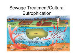 Sewage Treatment/Cultural Eutrophication