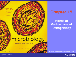 Microbiology - Imperial Valley College